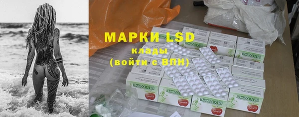 дживик Верея
