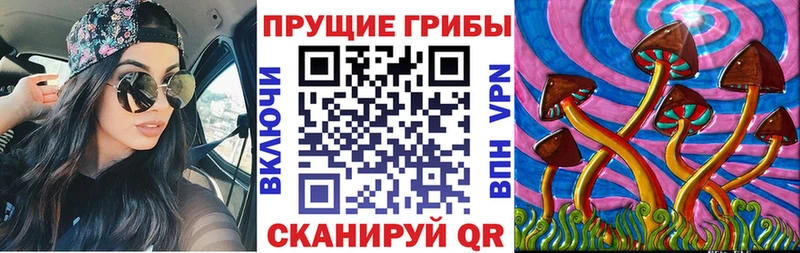 Псилоцибиновые грибы Cubensis  Купить  Черноголовка 